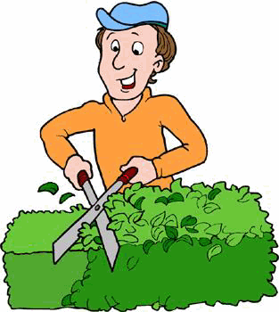 Hedge Cutting